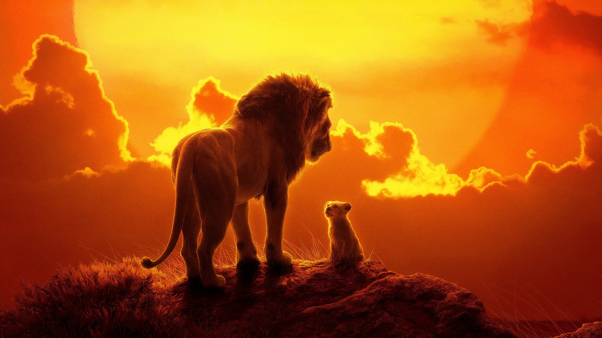 The Lion King  [2019]