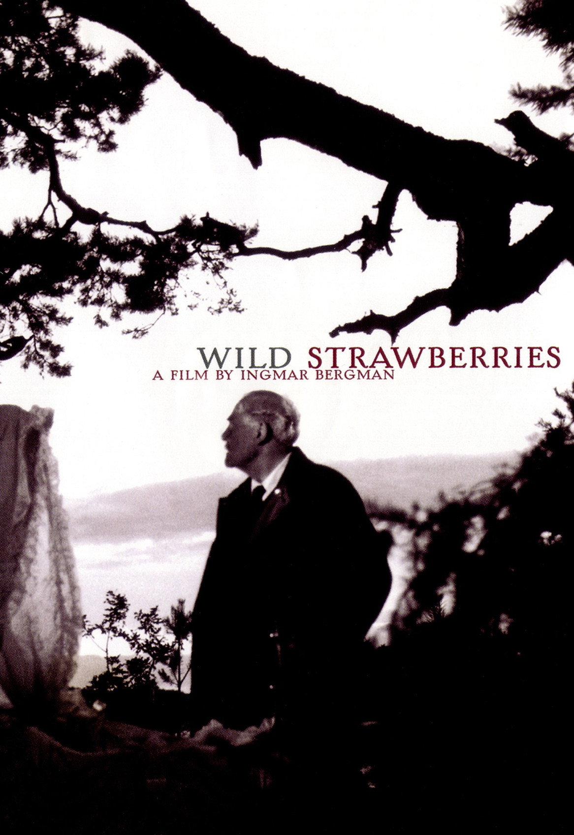 Poster for Wild Strawberries