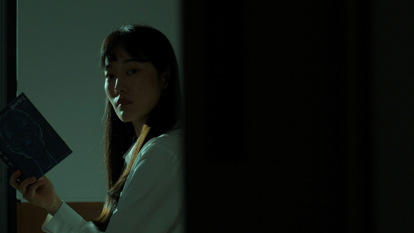 indulge in suspicion