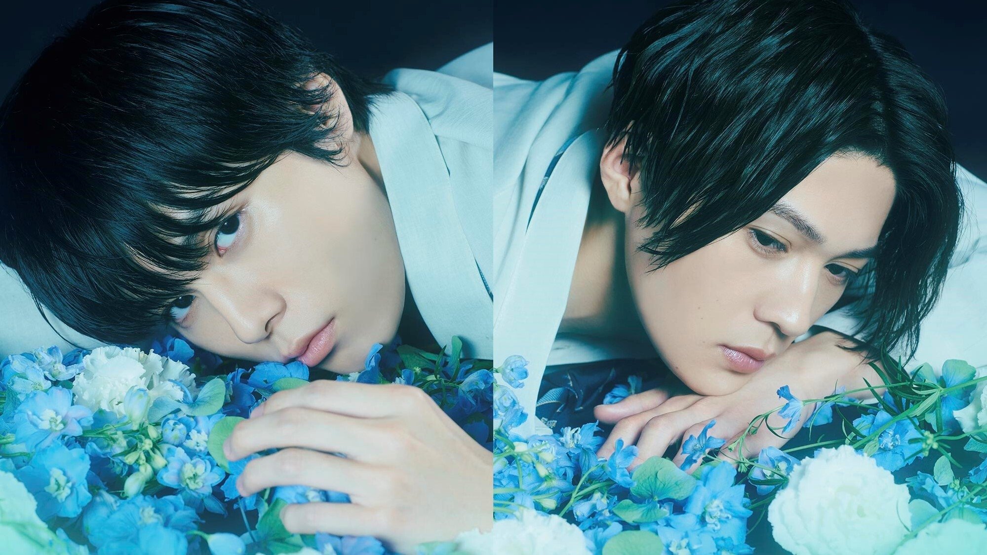 Voir 美しい彼 streaming Voir 美しい彼 streaming