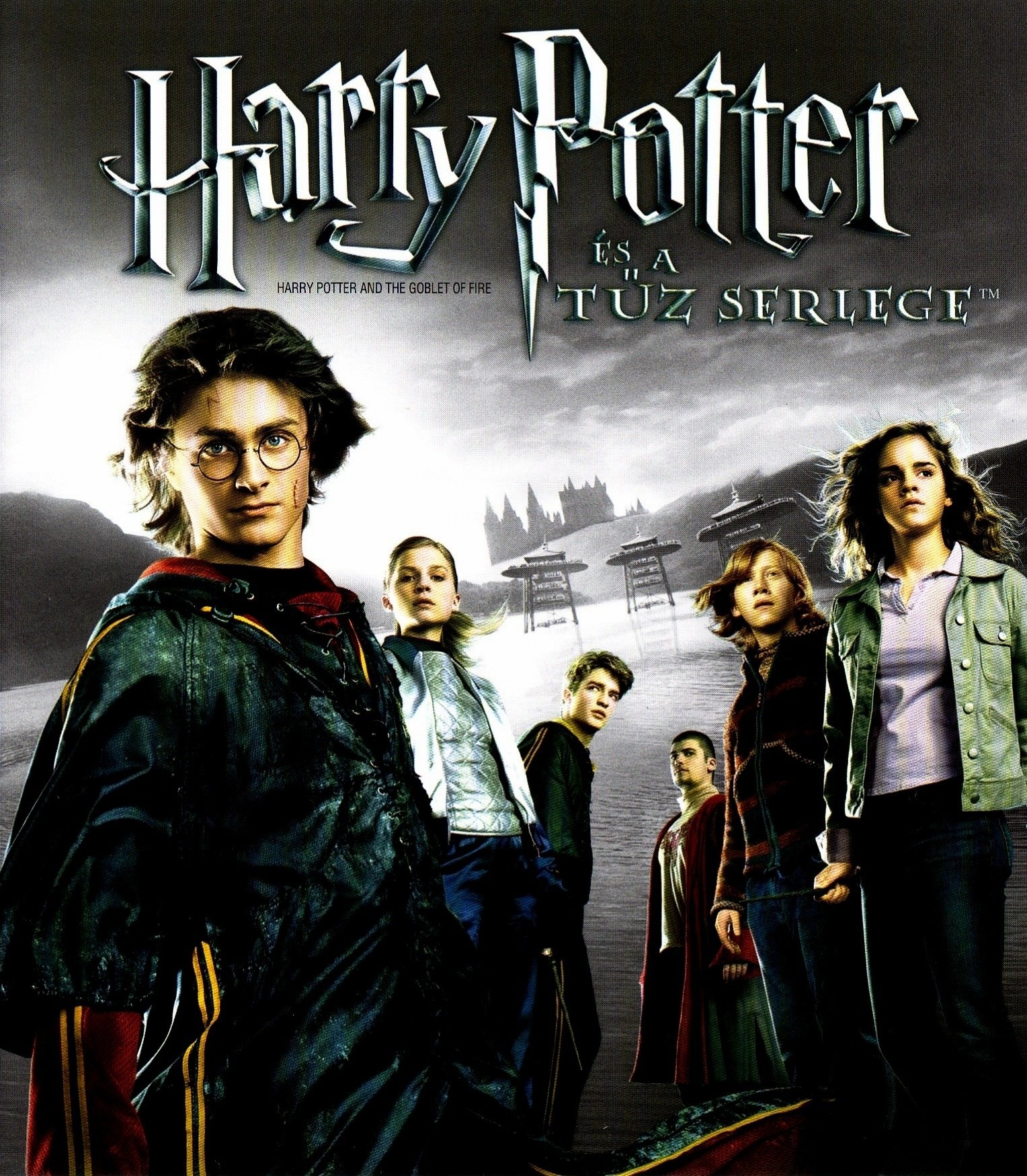 Harry Potter La Coupe De Feu Film Harry Potter et la Coupe de feu (2005) • fr.film-cine.com