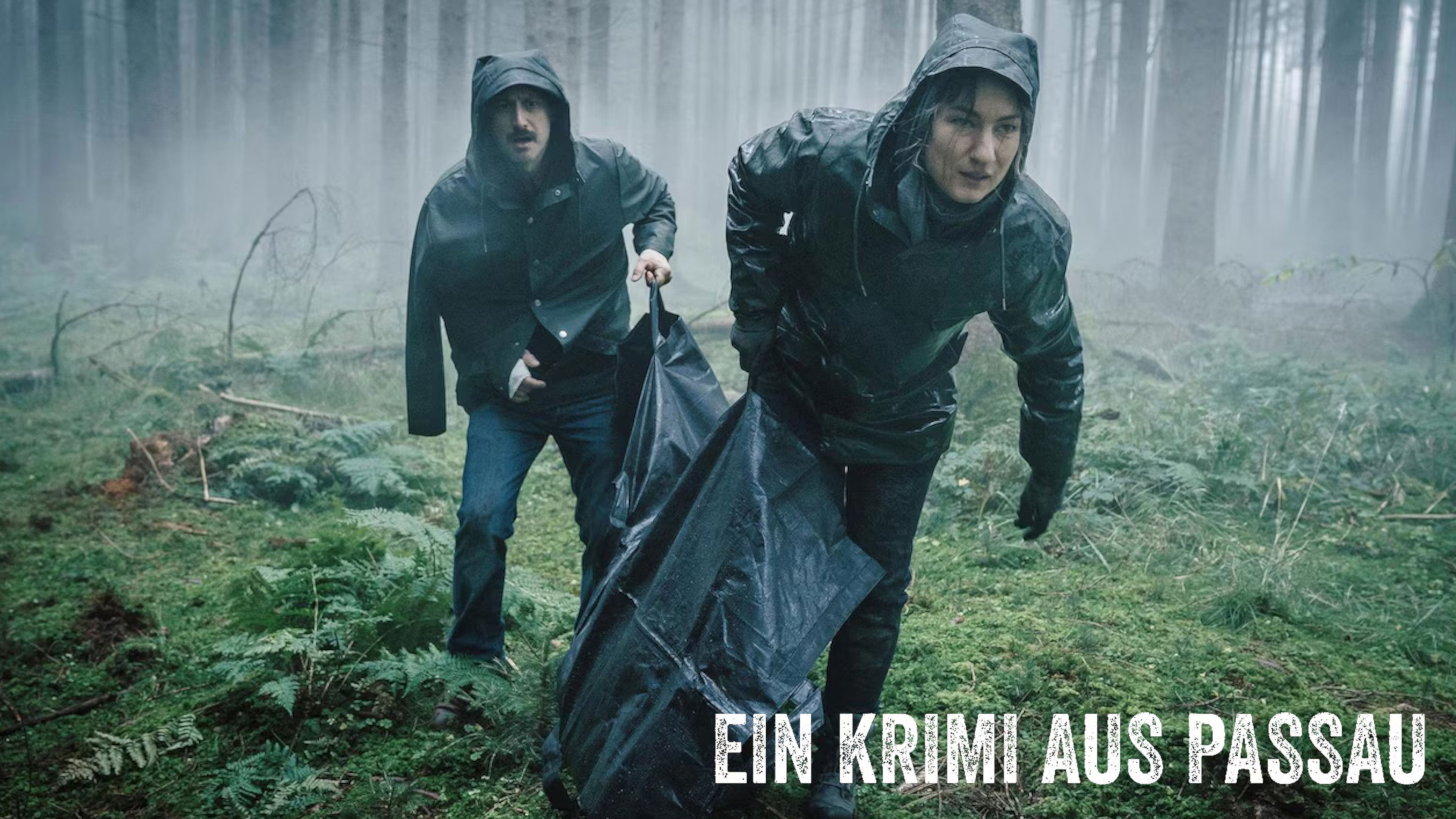 Die Donau ist tief - Ein Krimi aus Passau