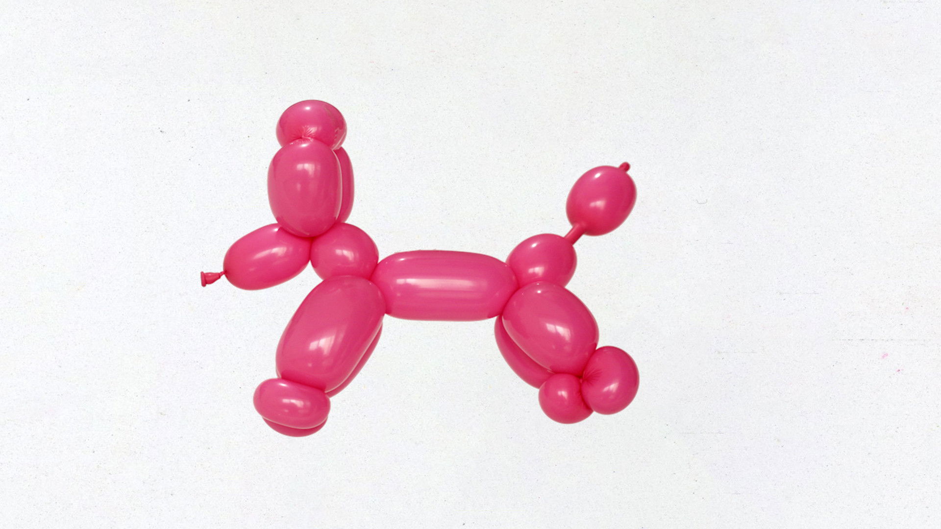 The Years of the rabbit