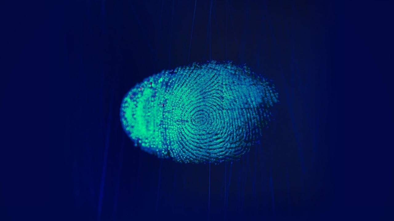 Forensic Factor: A New Era