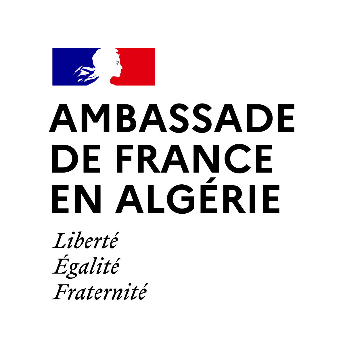 Algérie Tours Détours