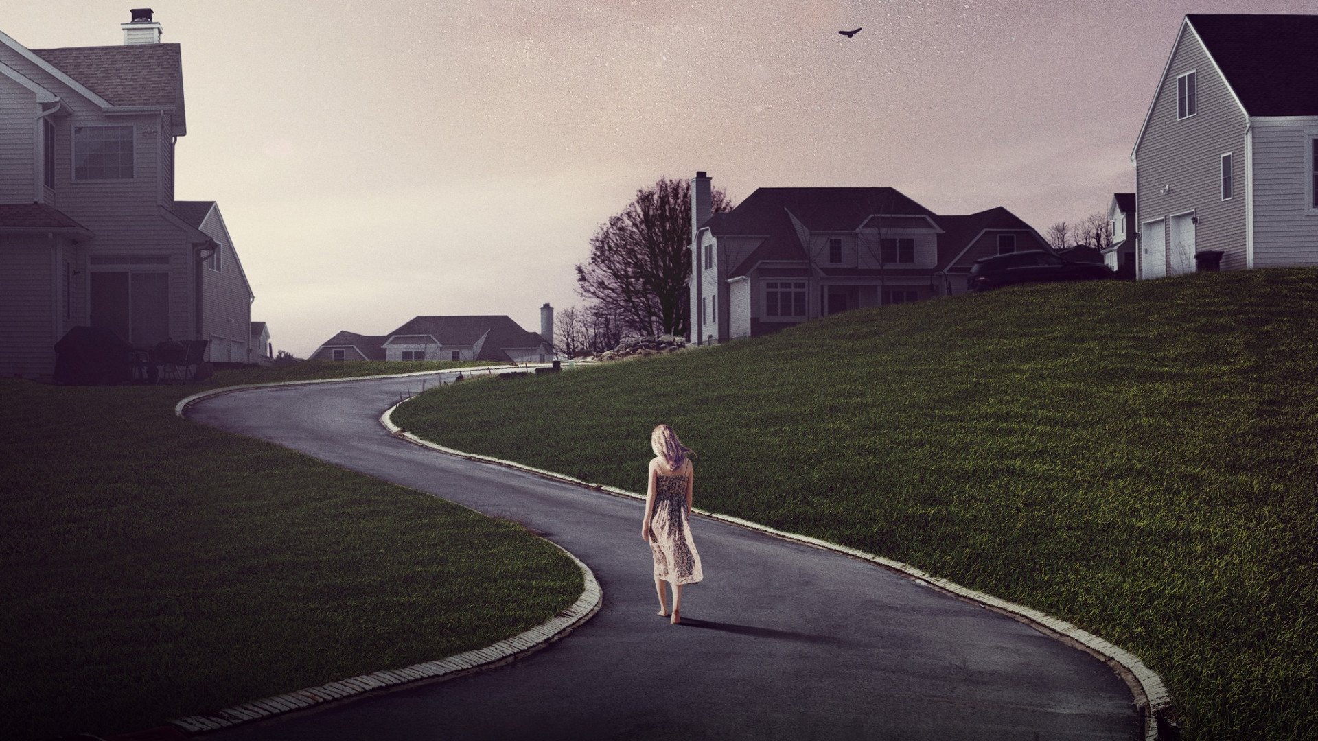 The OA The OA