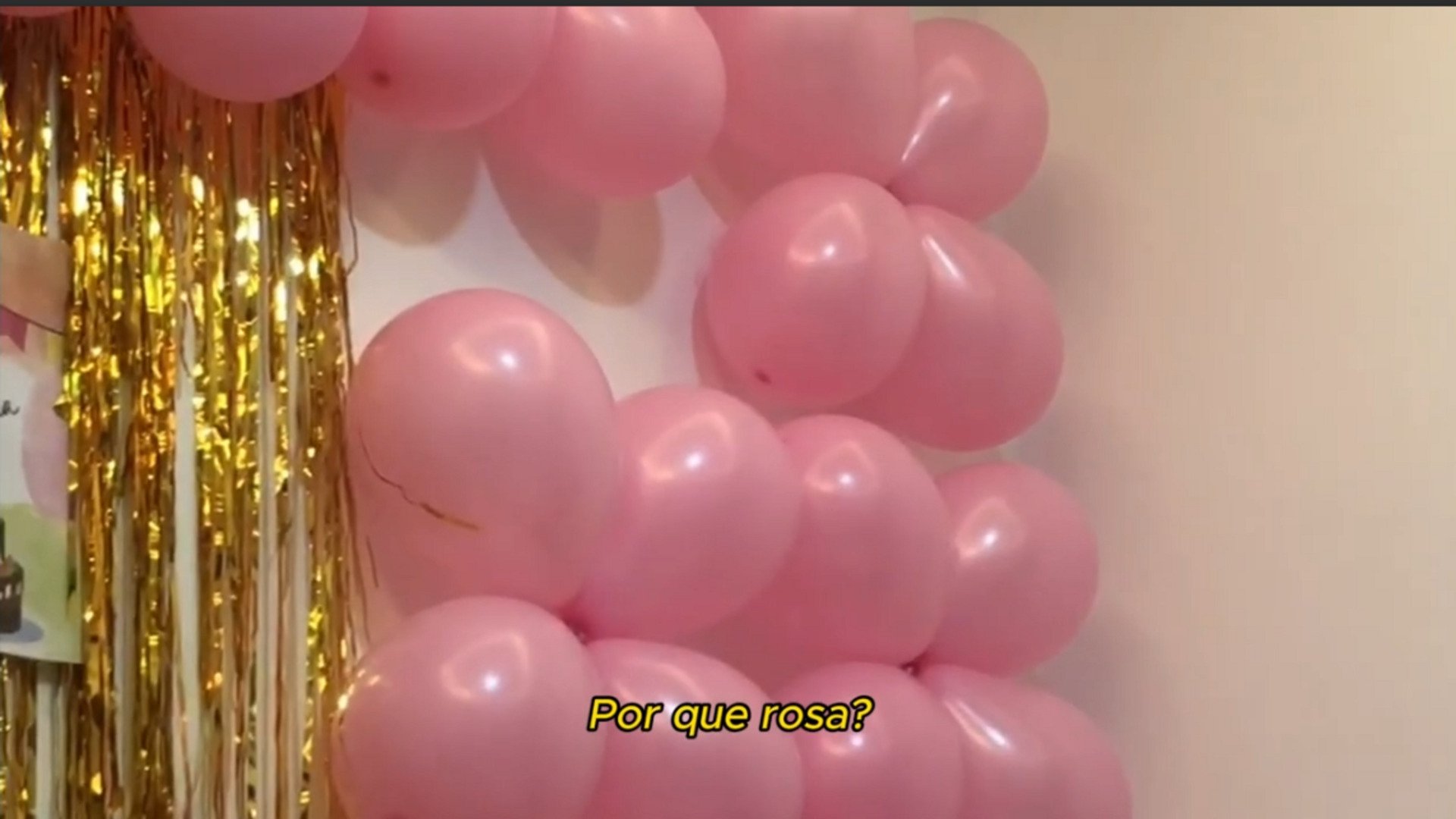 Meu primeiro aniversário