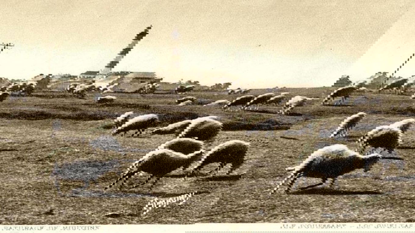 There was oil in Ouessant island
