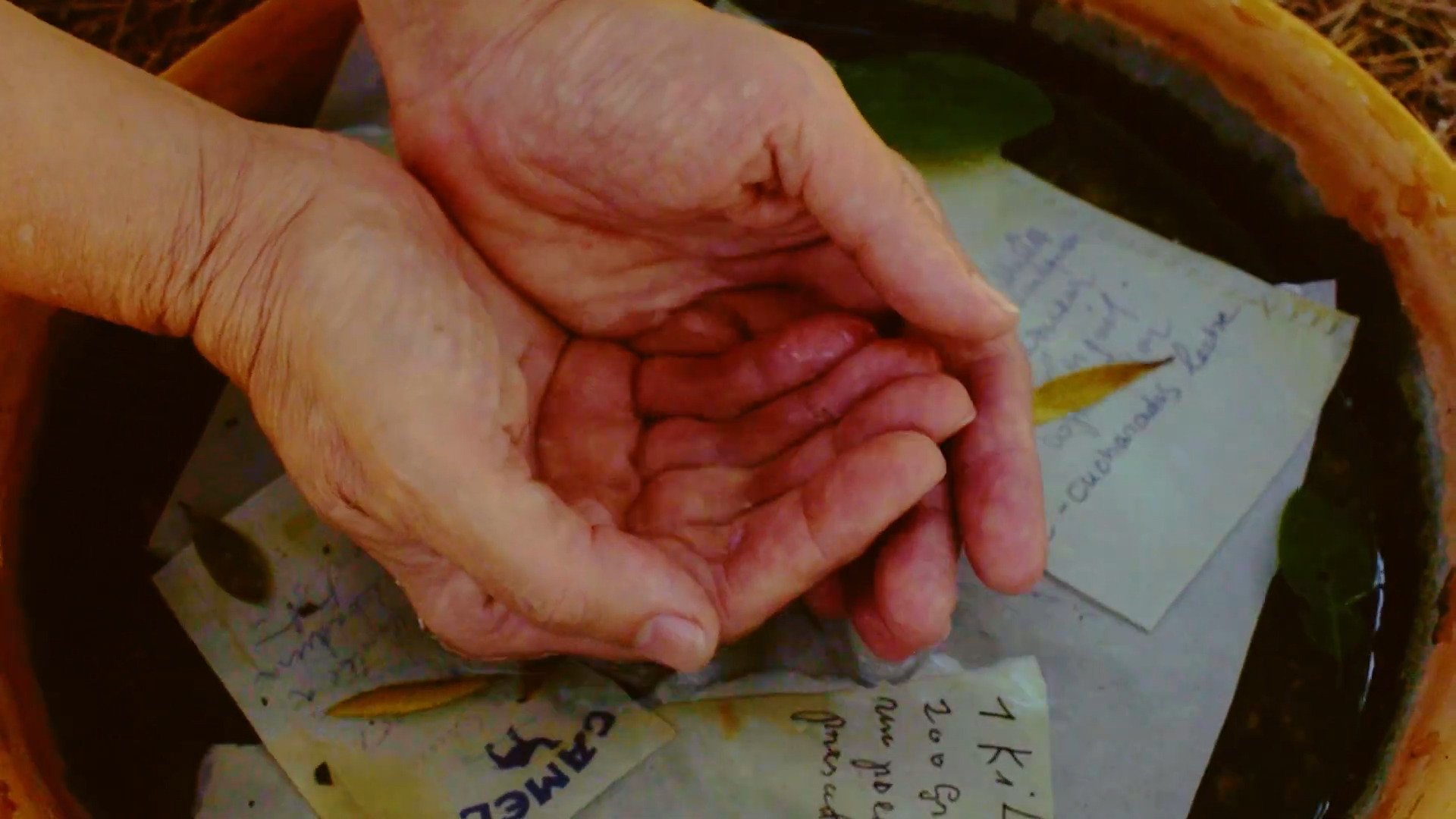A garden of words