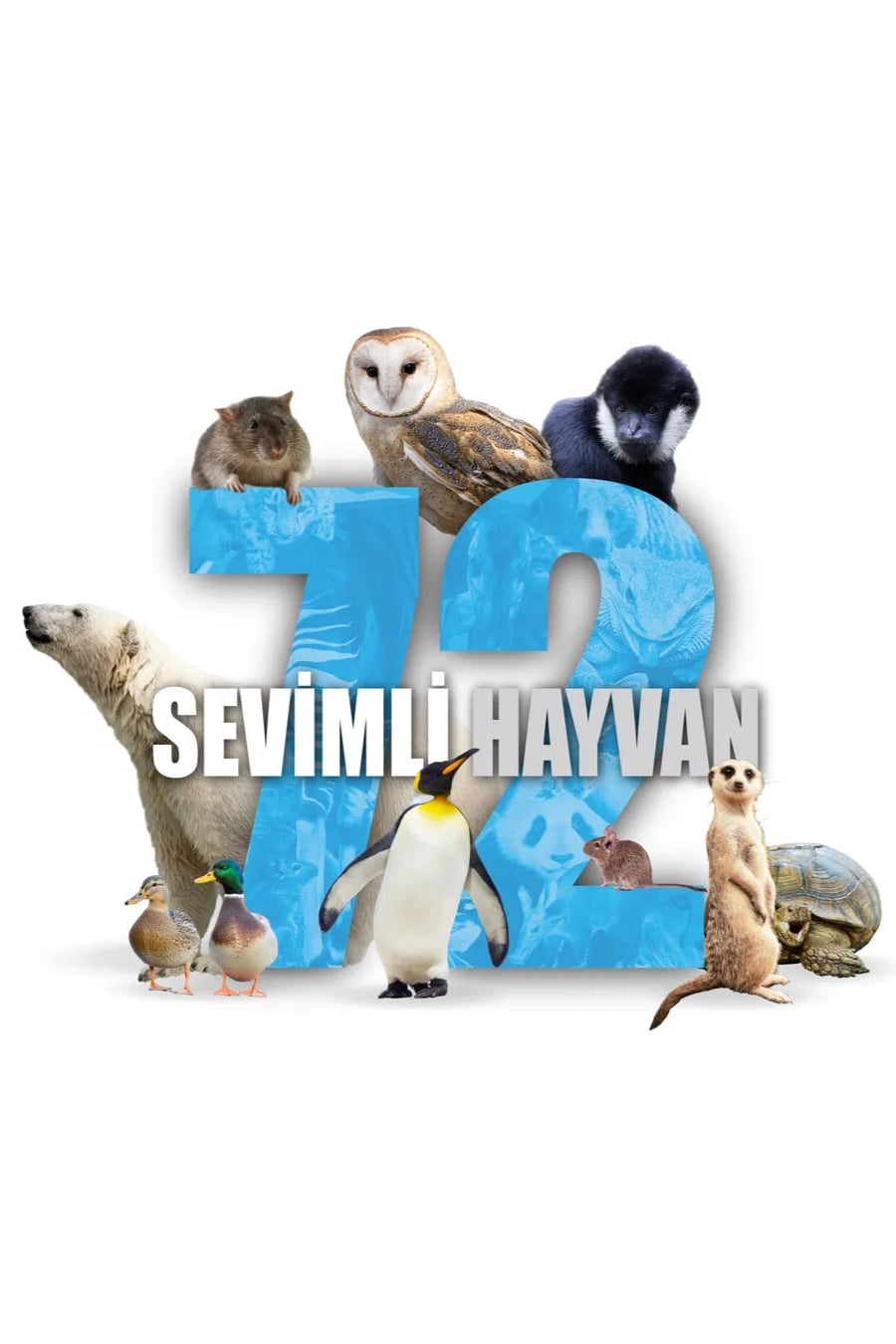 72 Sevimli Hayvan filmi