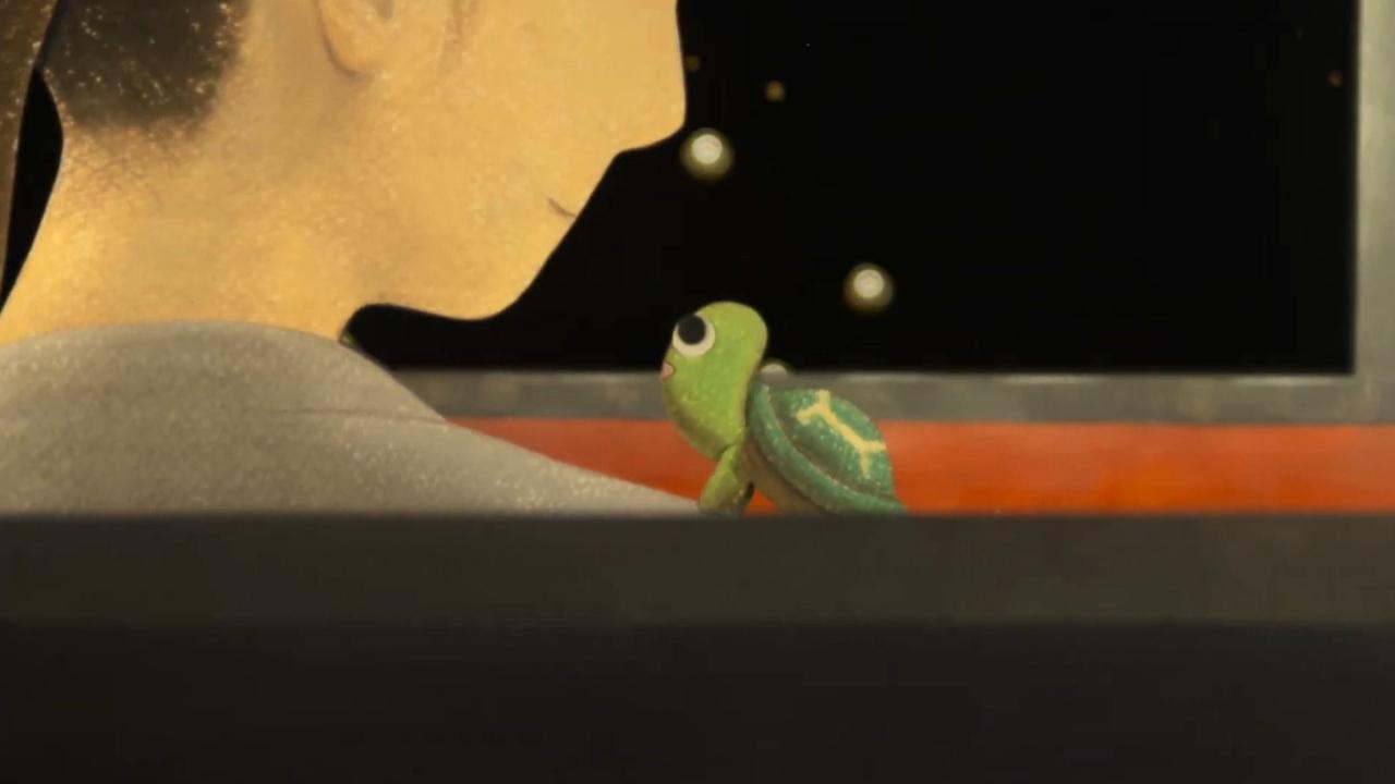Turtle's Stroll