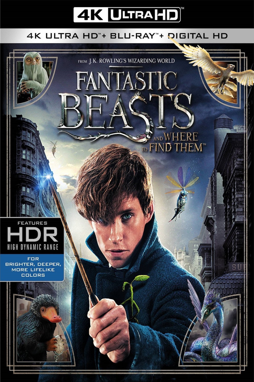 Animali Fantastici E Dove Trovarli Streaming Ita Eurostreaming