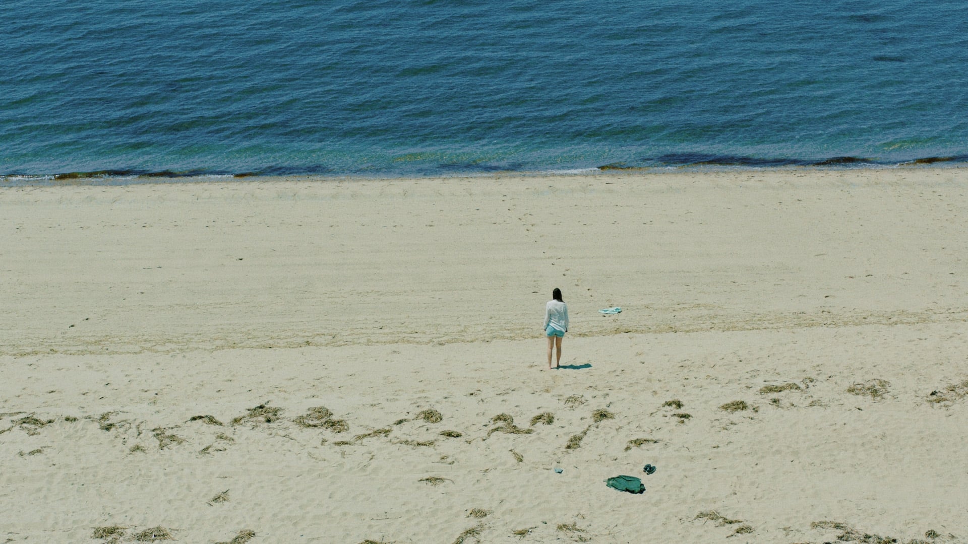 The Beach House (2020) . Film Wallpaper