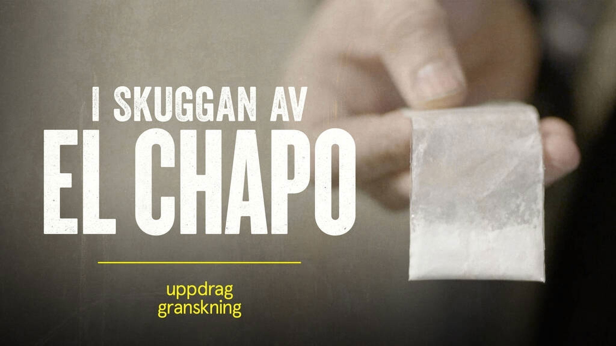 Uppdrag granskning: I skuggan av El Chapo