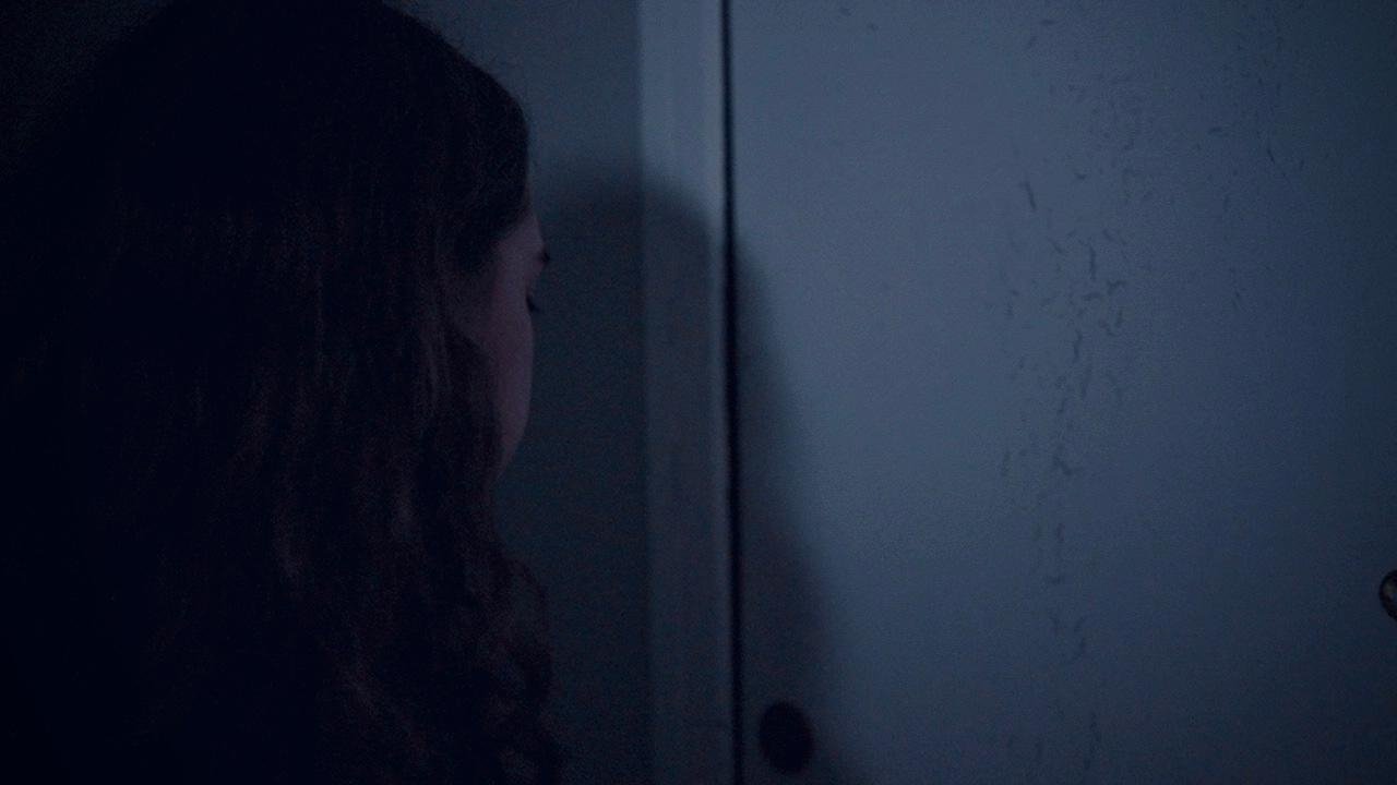 Folhas Secas de Outono