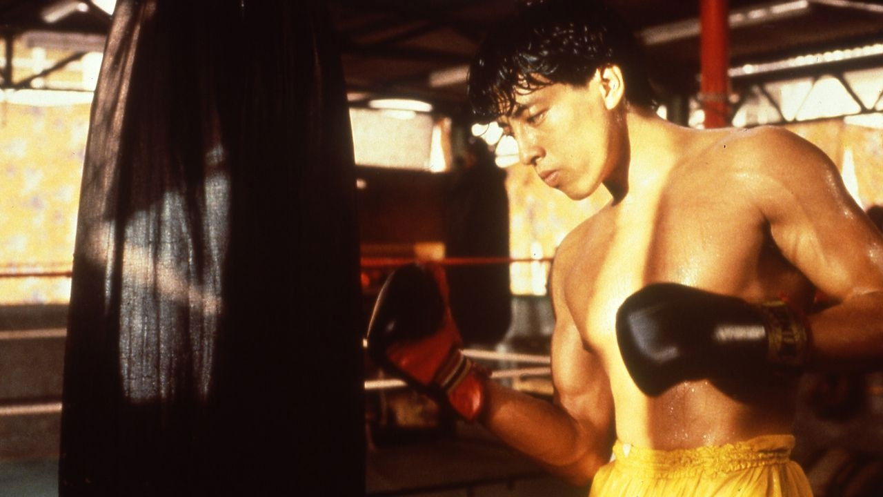 Dreams of Glory, A Boxer's Story