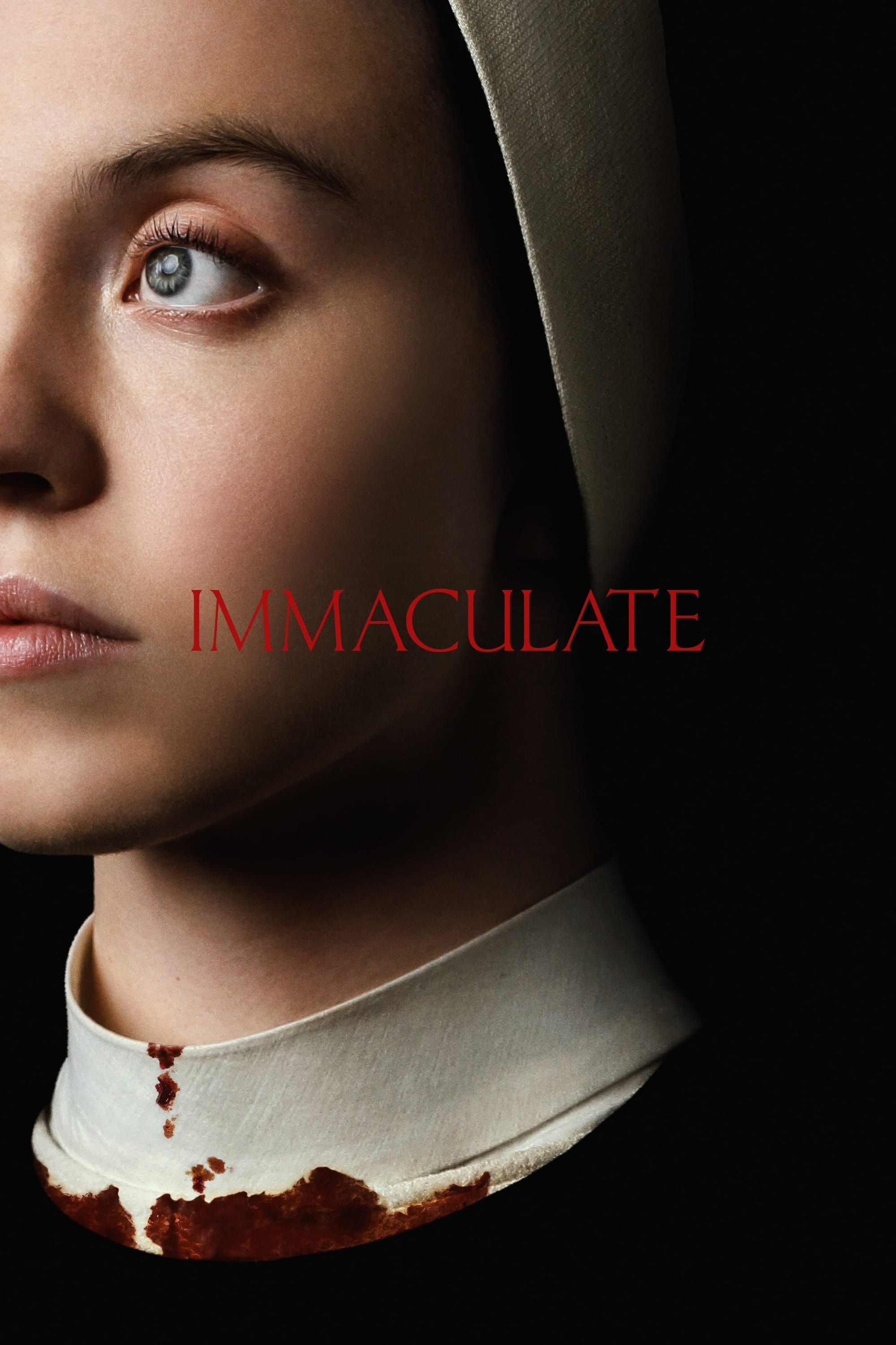 image for Immaculate