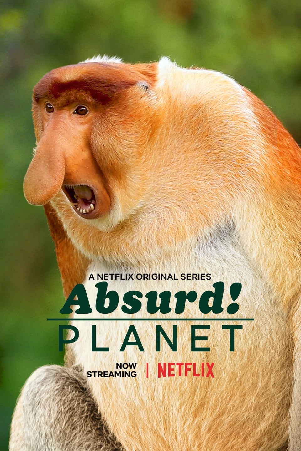 Absurd Planet filmi