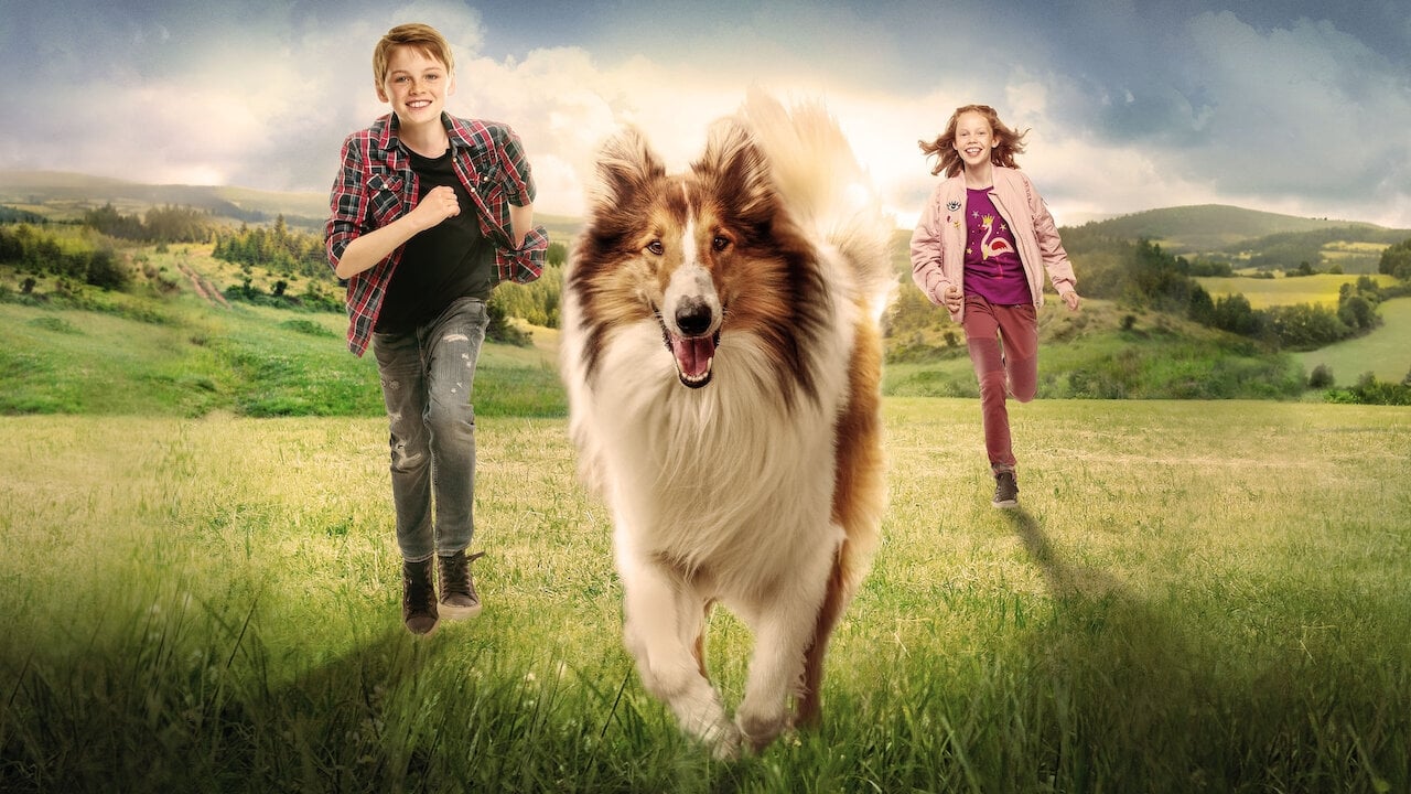 Lassie - Eine abenteuerliche Reise (2020) . Film Wallpaper