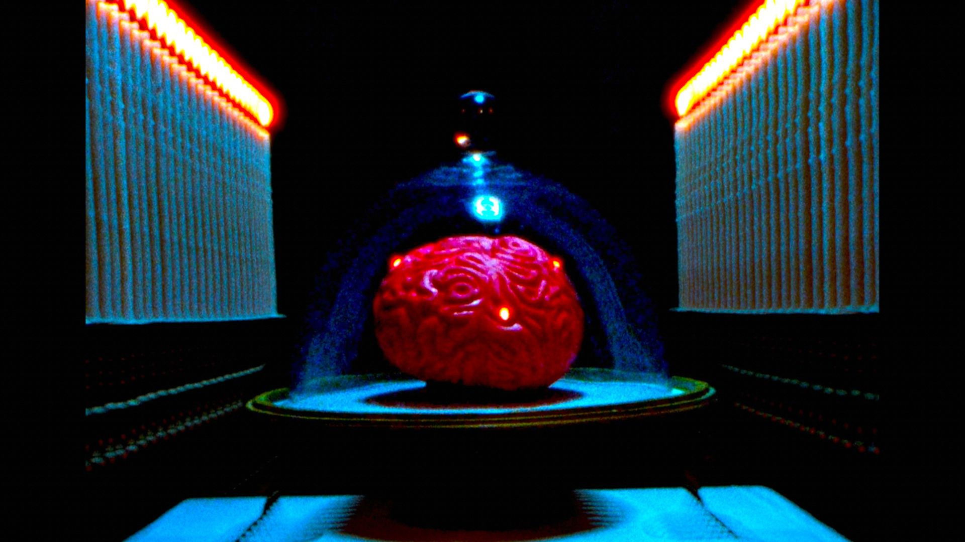 My Dead Wife's New Brain