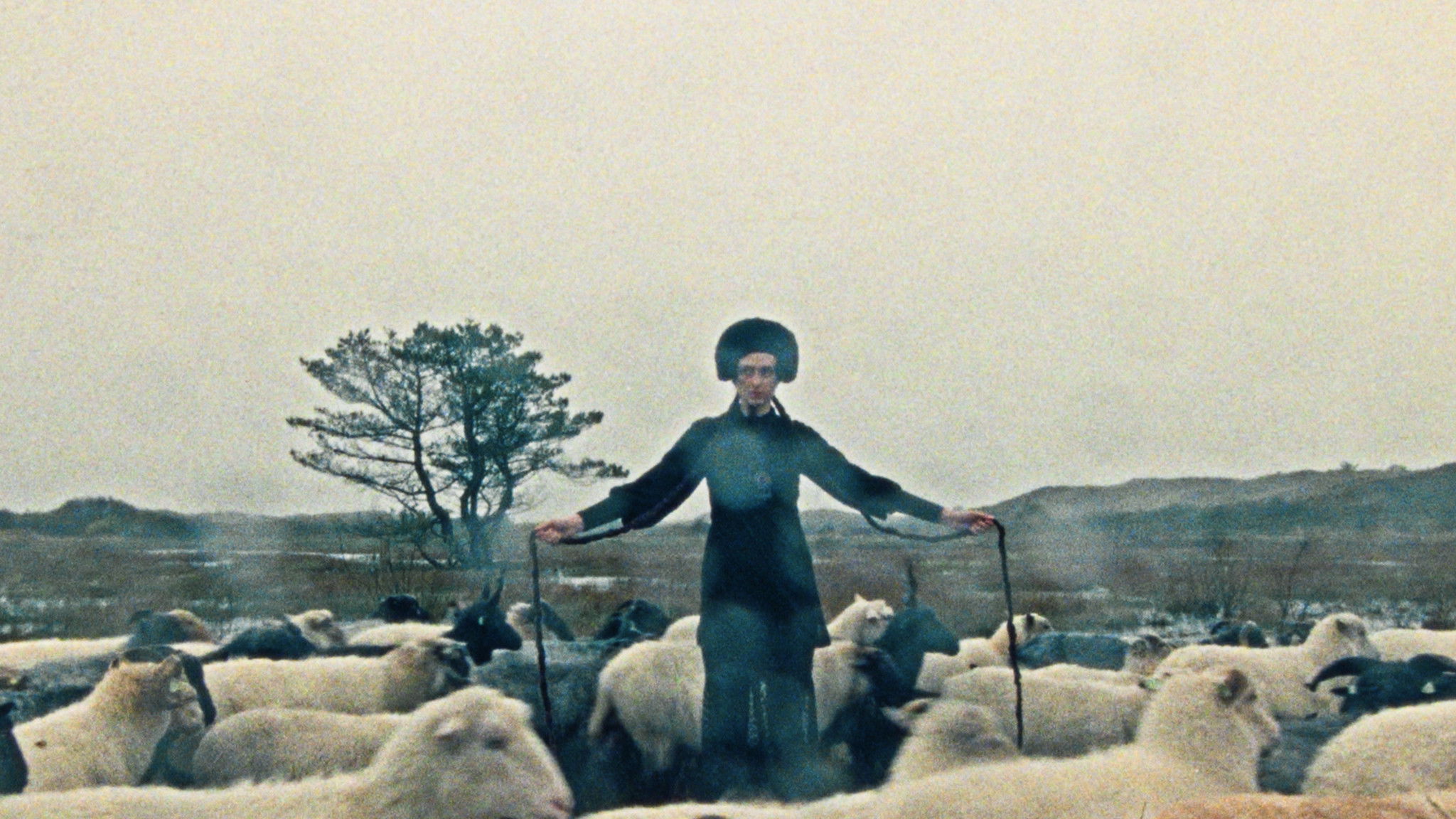 Last night I stayed within myself and this morning I decided to live here