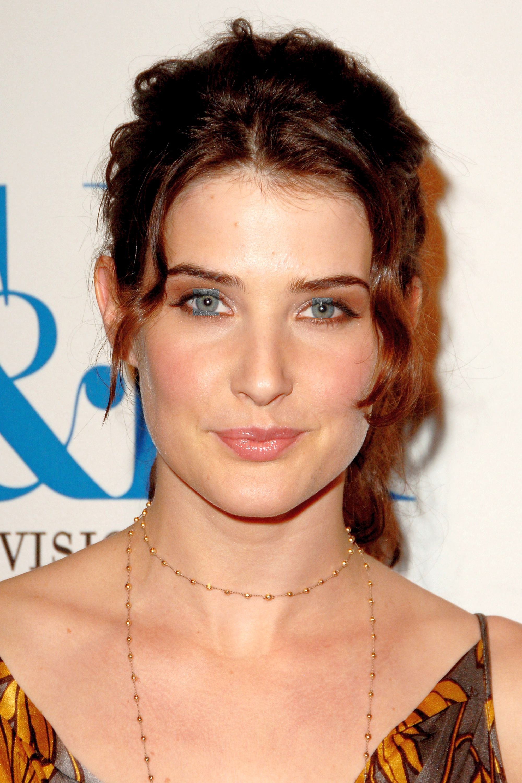 cobie smulders filmography biography on movies film cobie smulders filmography biography on movies film