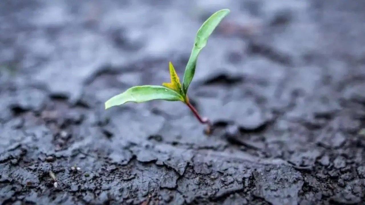 Auf dem Trockenen - Der Kampf ums Wasser geht weiter