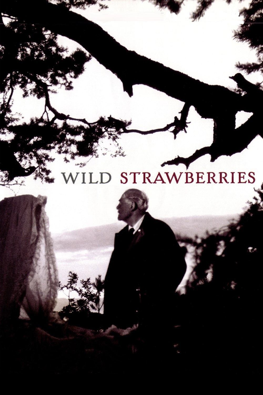 Wild Strawberries