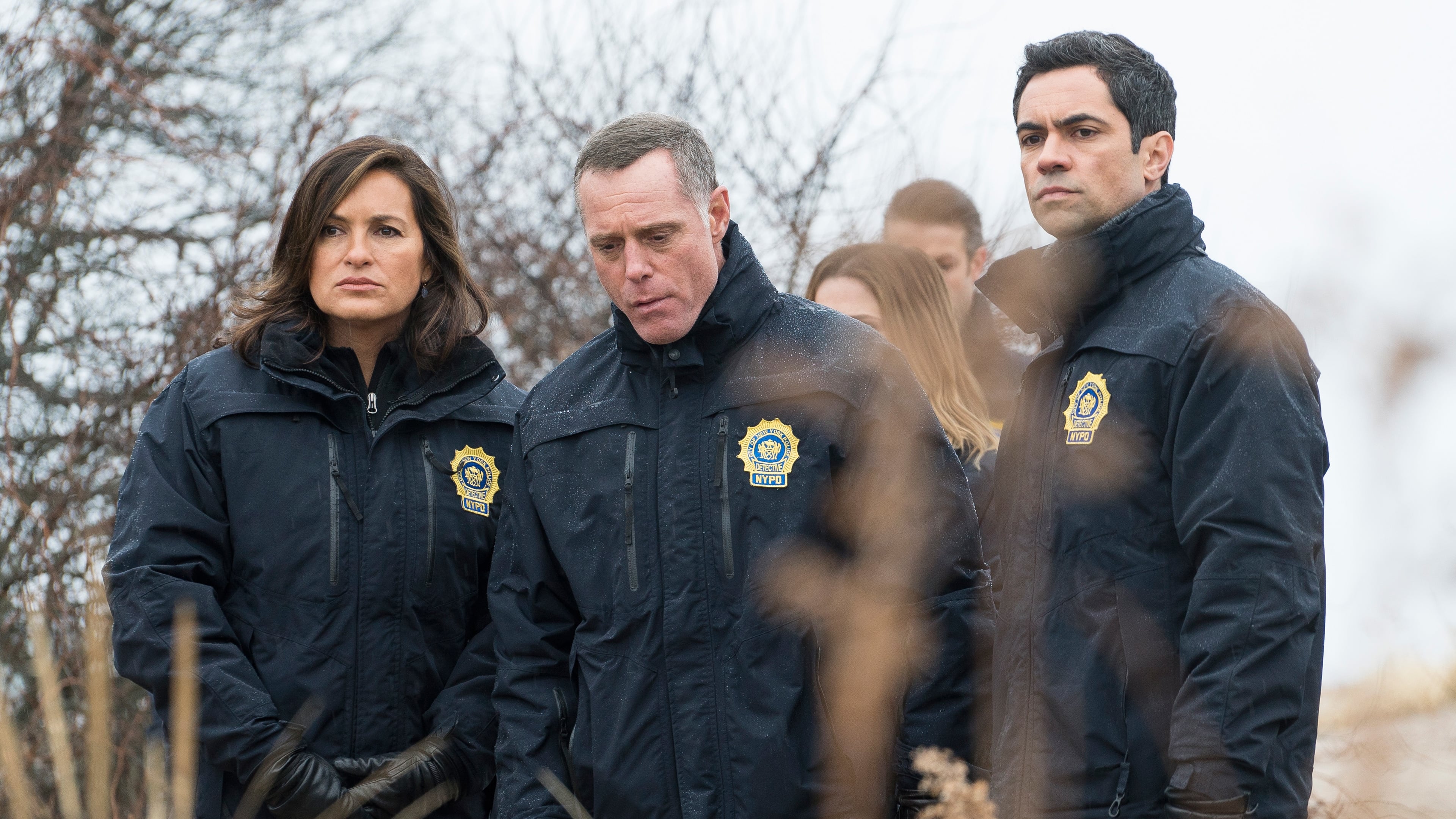 Law & Order: Special Victims Unit - Season 16 Episode 20 : Daydream Believer (III)