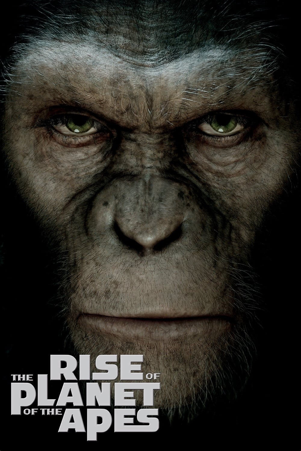 2011 Rise Of The Planet Of The Apes