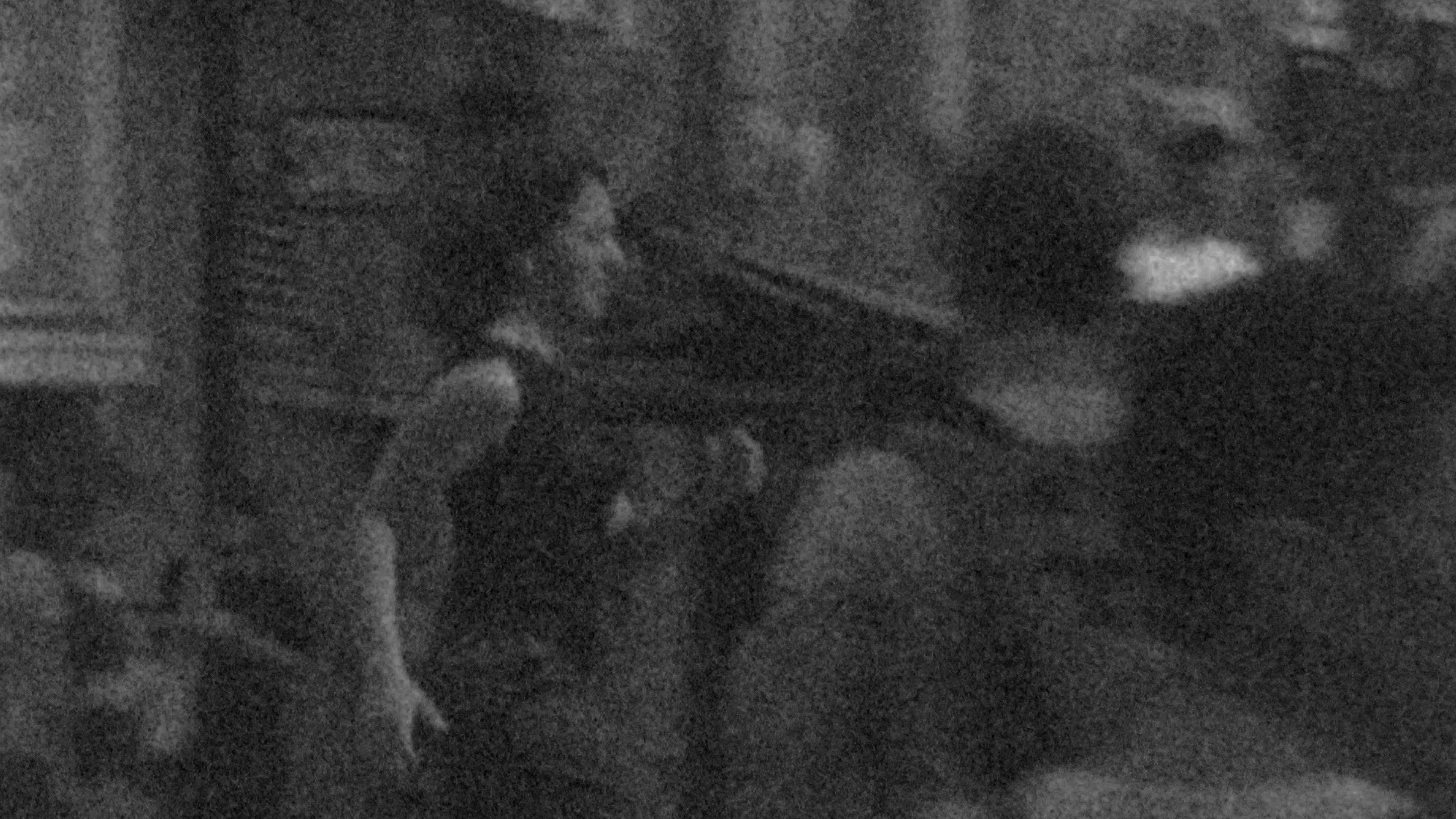 Amsterdam, through the eyes of