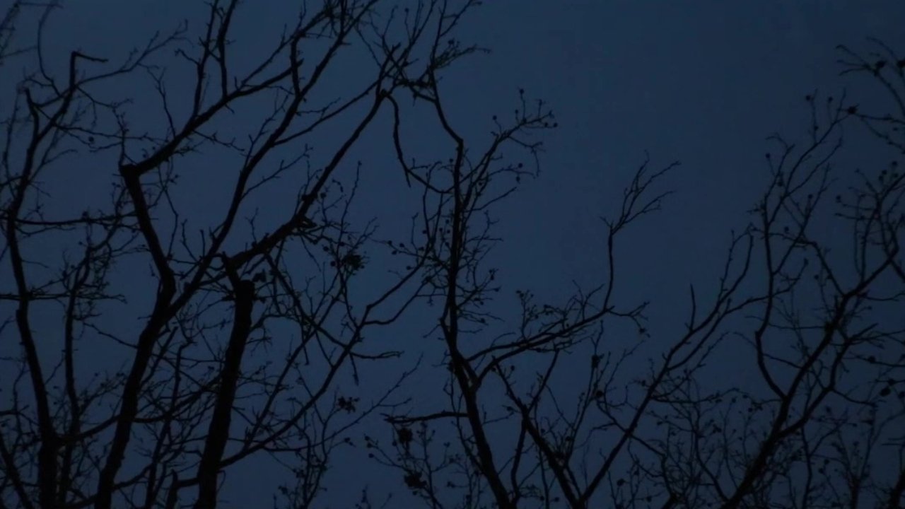 Ode to Big Booty Bitches