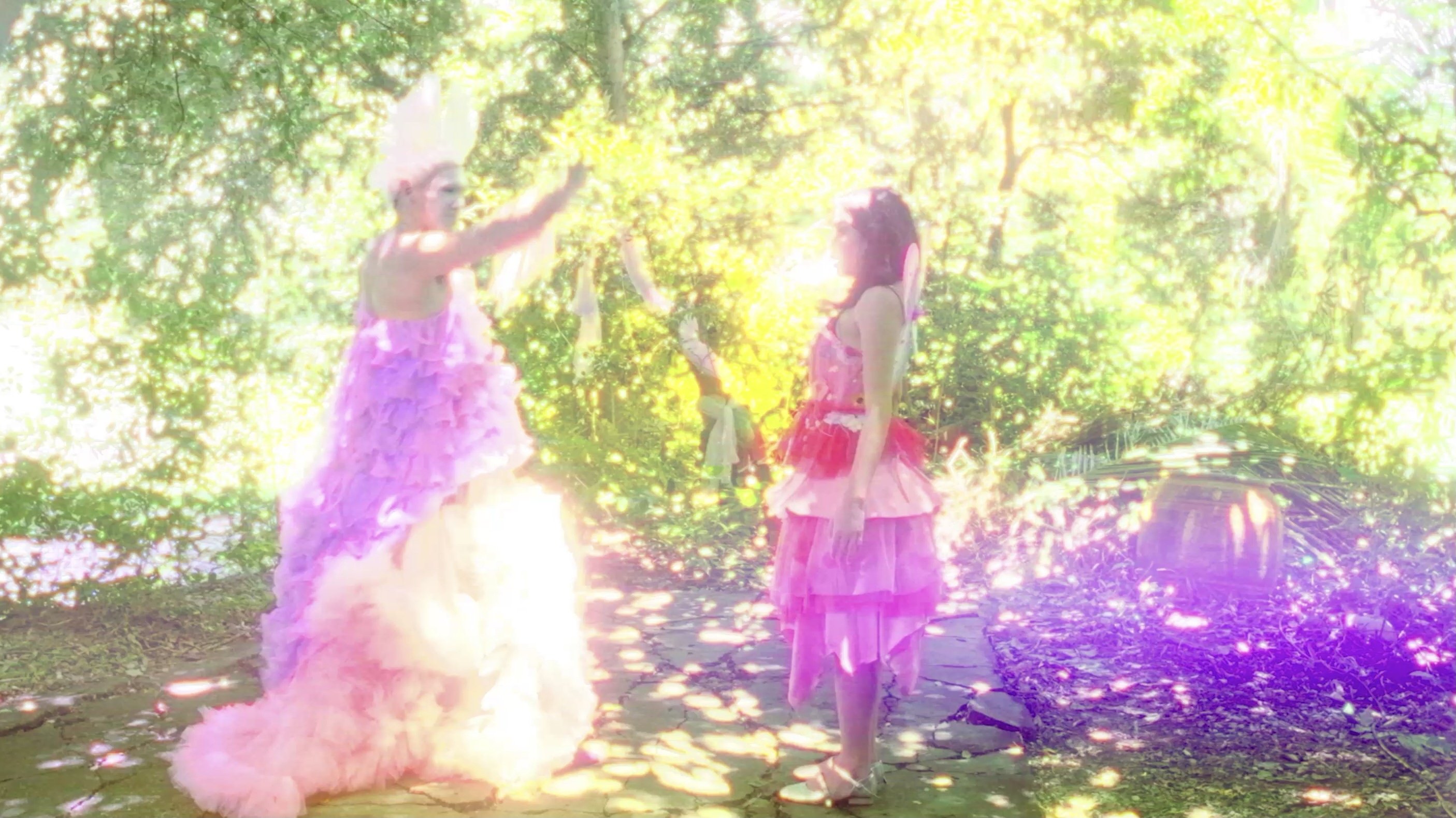 the kingdom of fairies