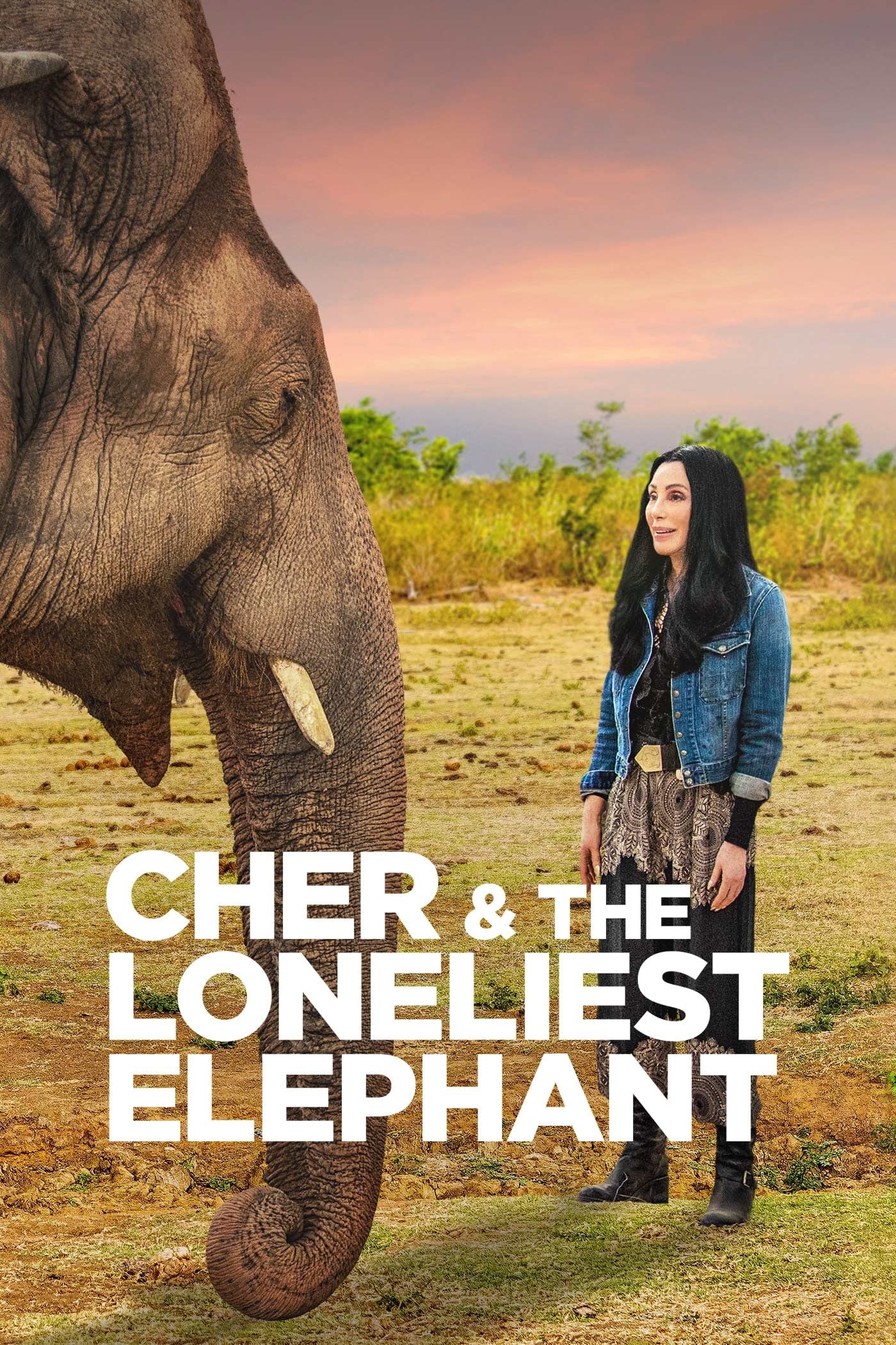 Cher e o Elefante Solitário