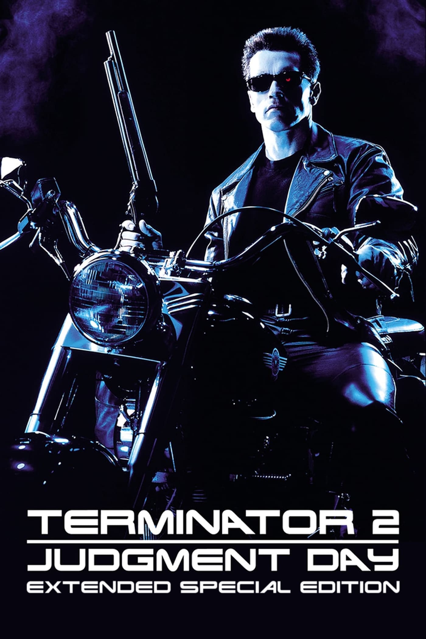 Terminator 2 Judgment Day 1991 Posters The Movie Database TMDb