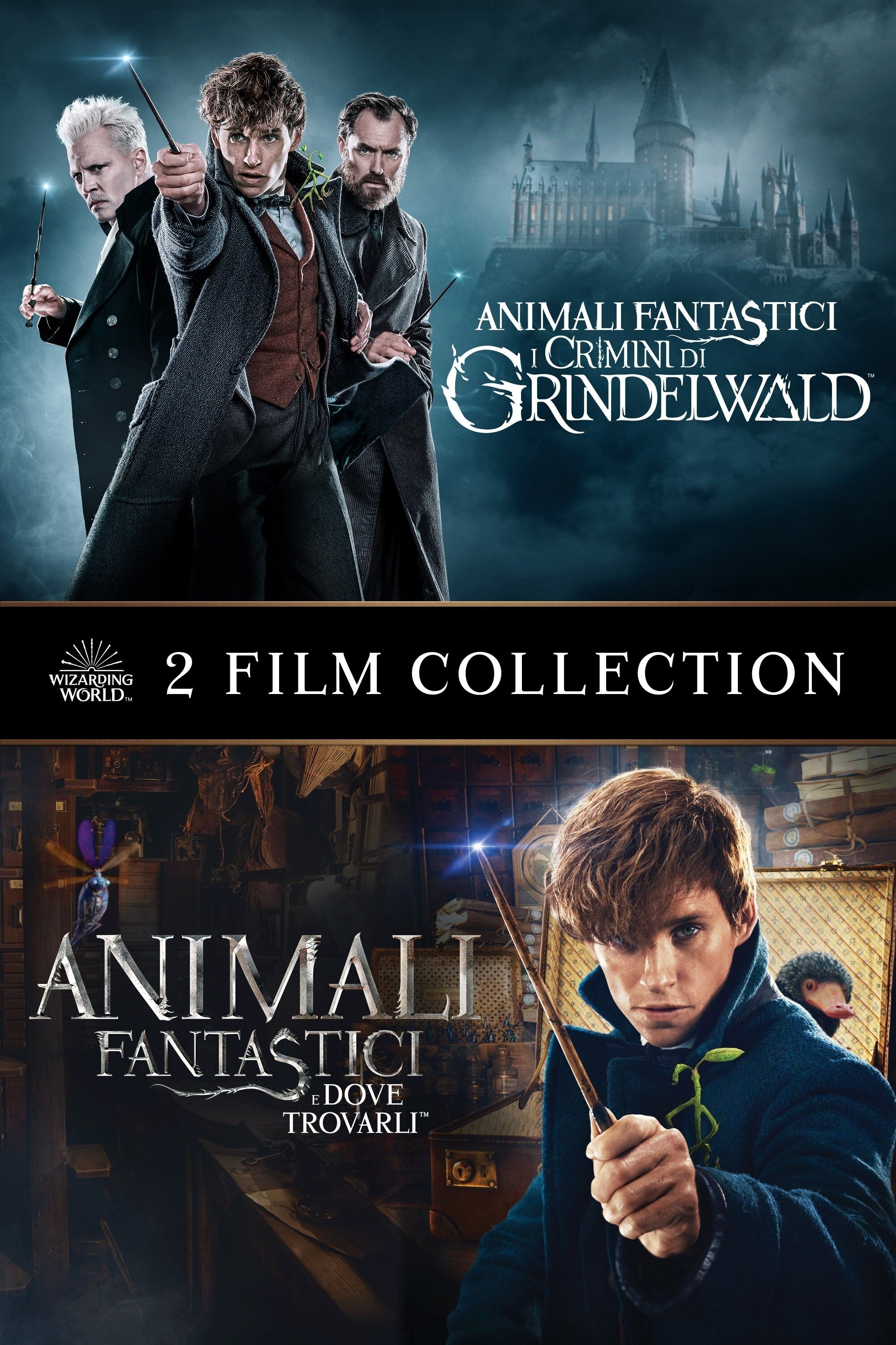 All movies from Fantastic Beasts Collection saga are on