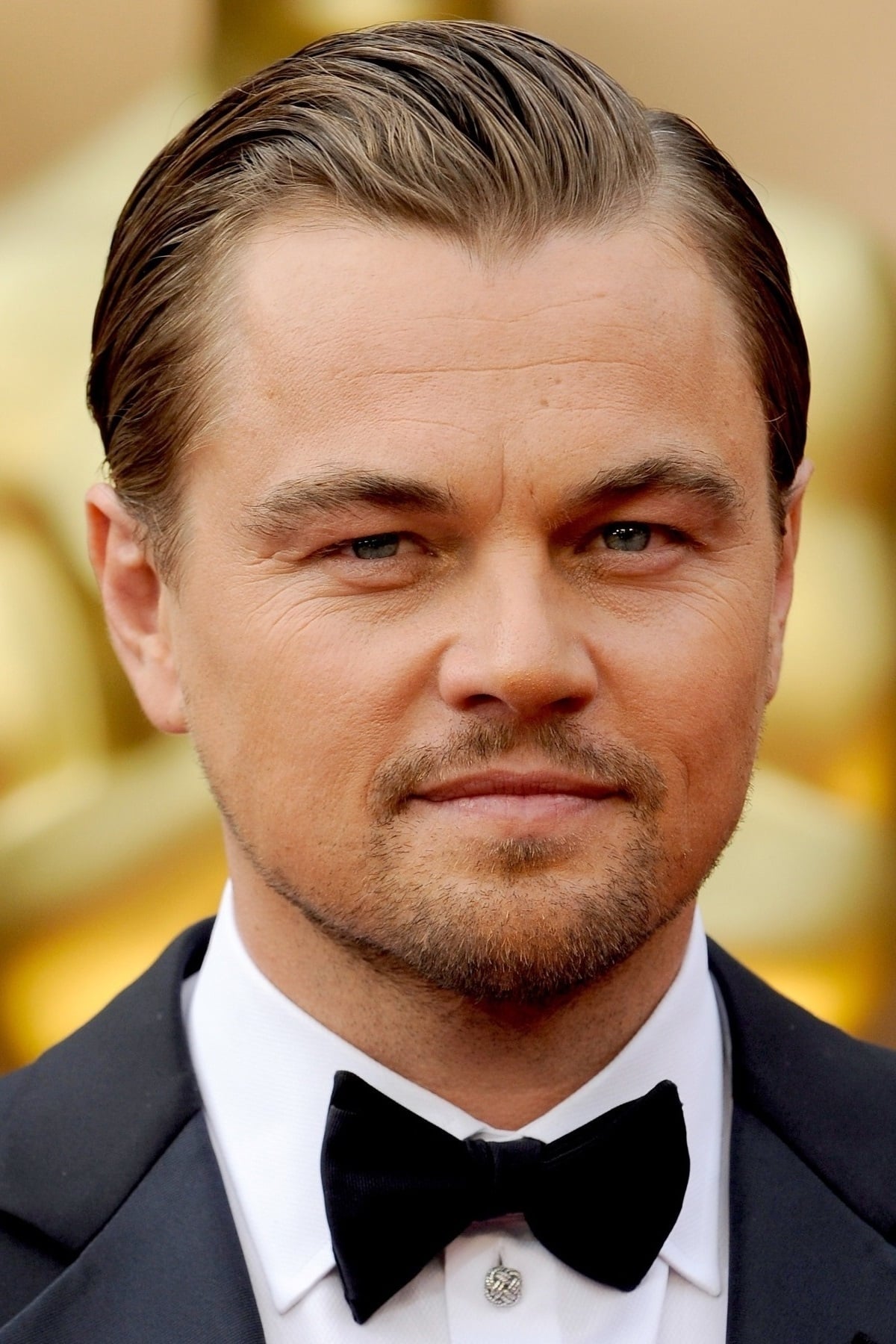 Regarder Leonardo DiCaprio Film en streaming - Film en Streaming1200 x 1800