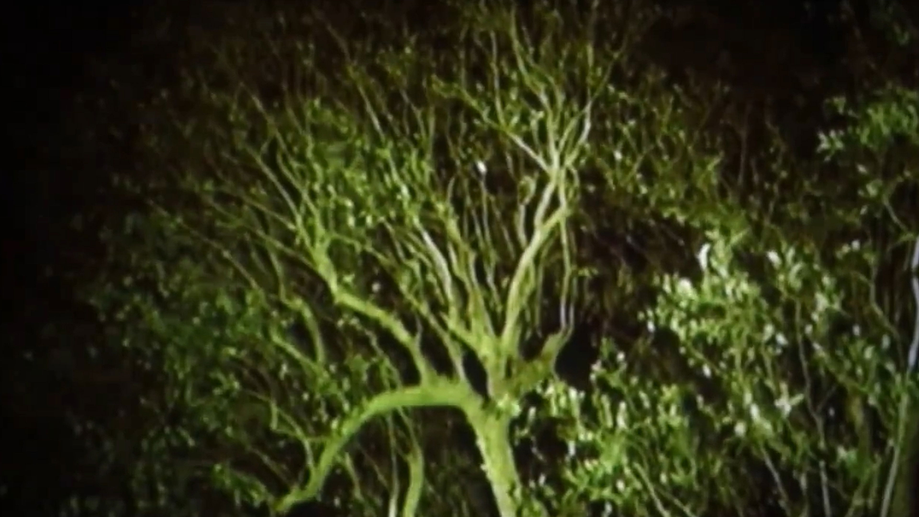 Darna: A Stone Is A Heart You Cannot Swallow