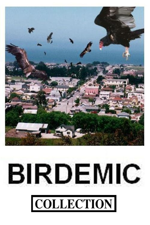 Watch Online Watch Birdemic 2: The Resurrection Full Movie Online Film Watch Online Watch Birdemic 2: The Resurrection Full Movie Online Film