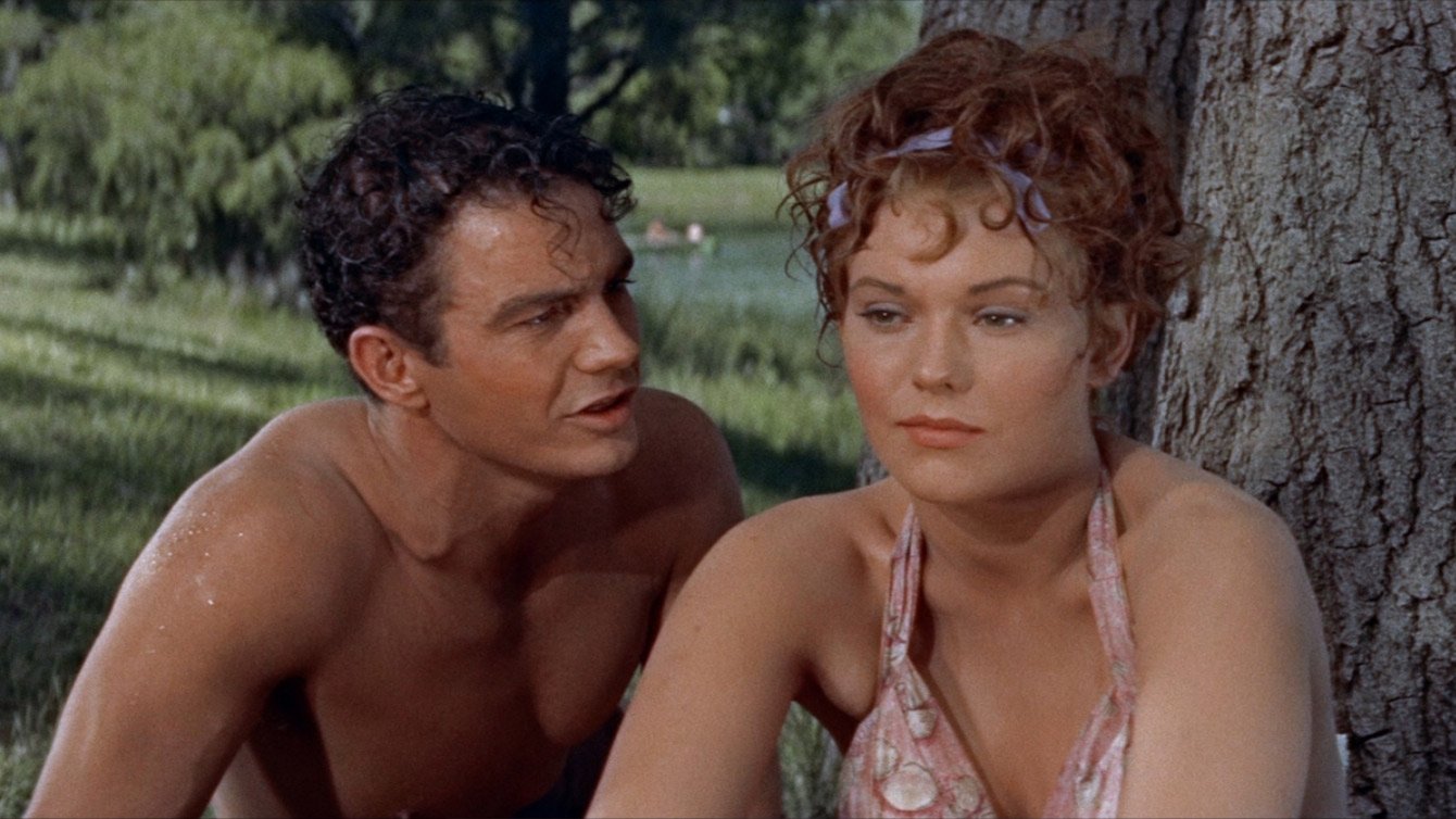 Picnic (1955) • peliculas.film-cine.com