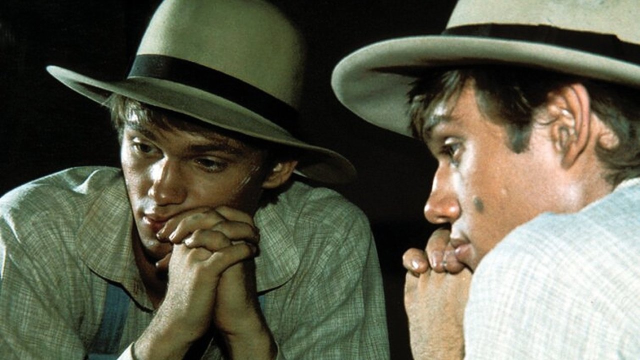 The Waltons - Season 3 Episode 9 : The Marathon