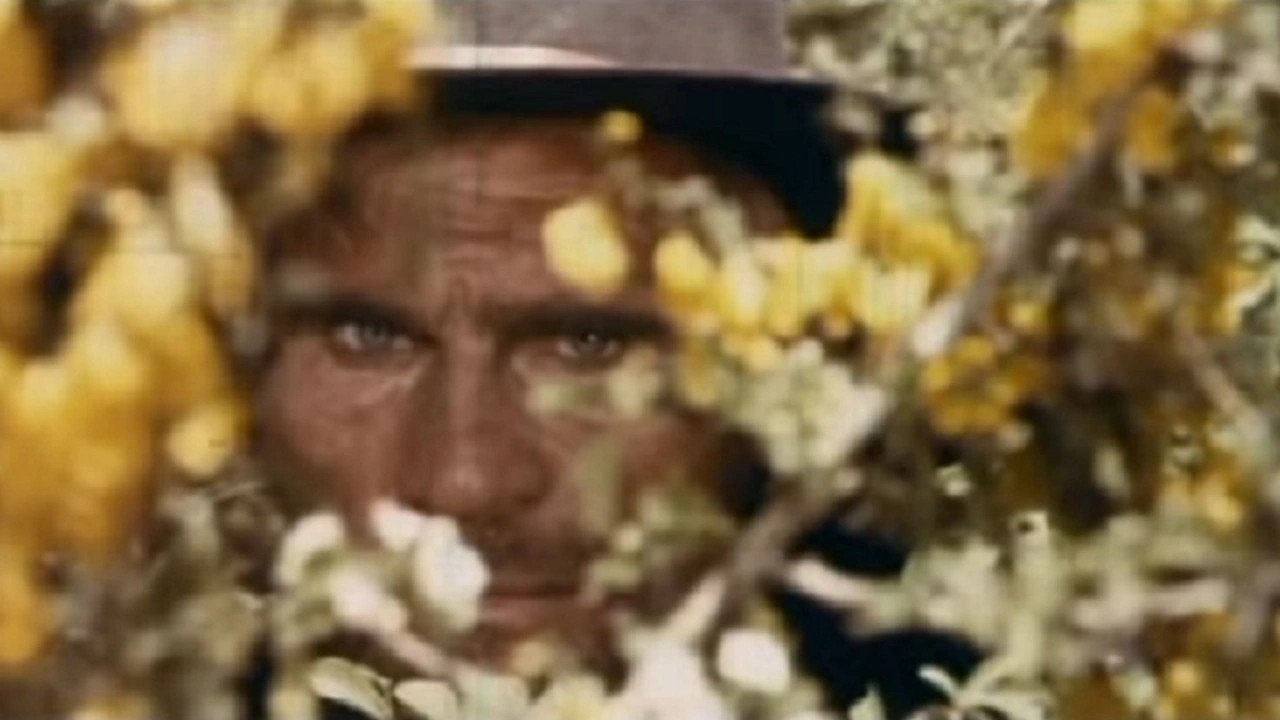 movie backdrop