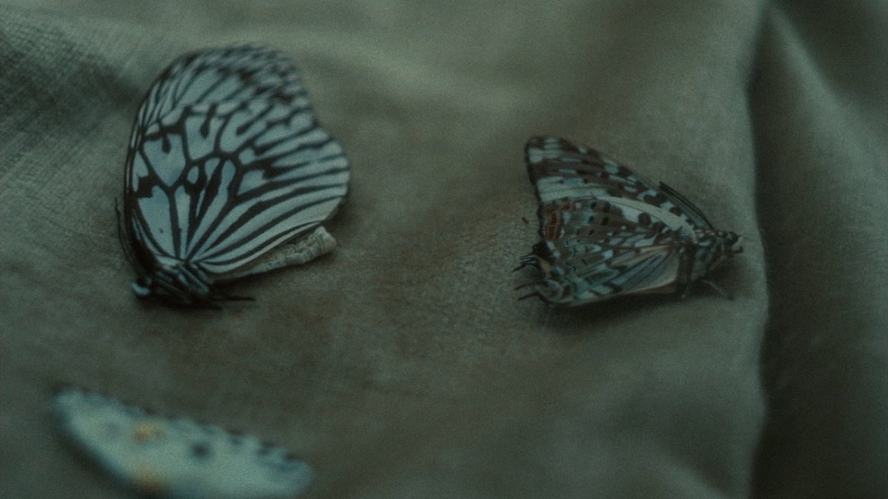 movie backdrop