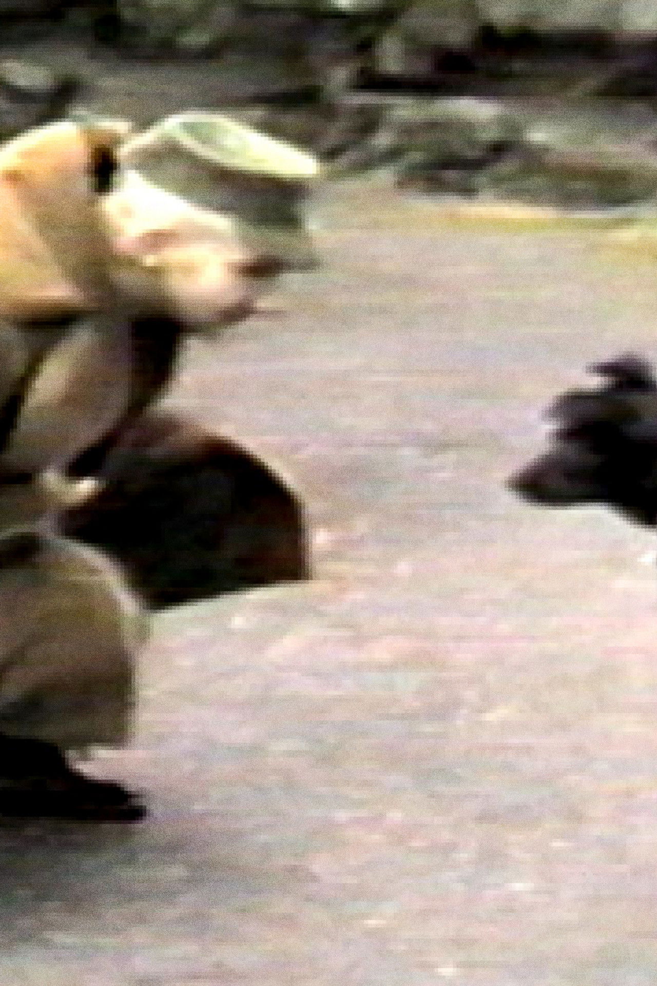 L'incident Â« Jones Â»