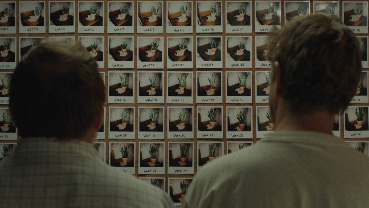 movie backdrop