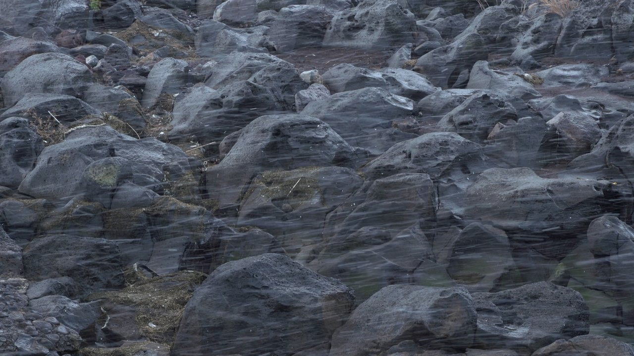 movie backdrop