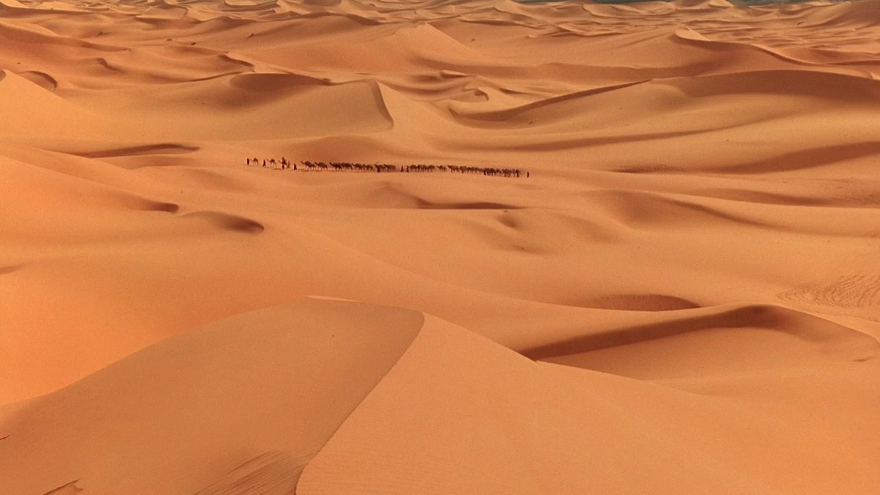 movie backdrop