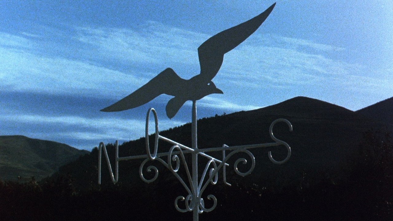 movie backdrop