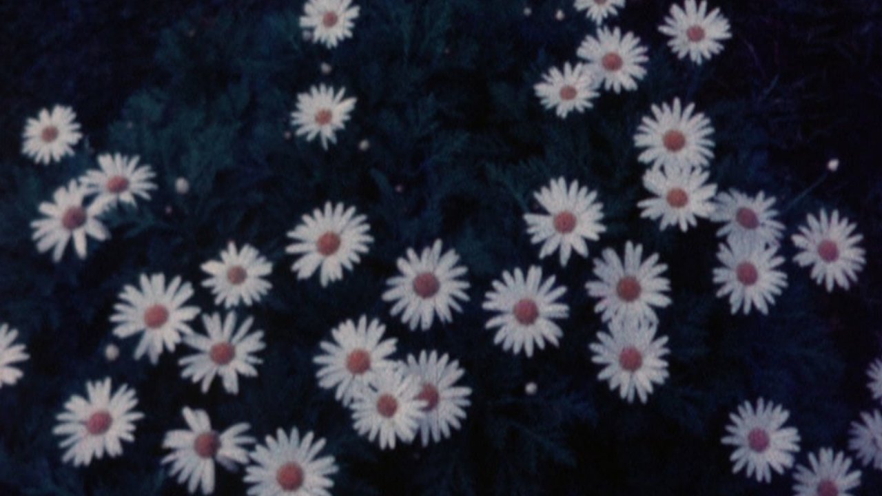 movie backdrop