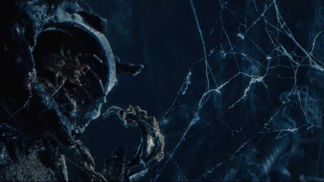 movie backdrop